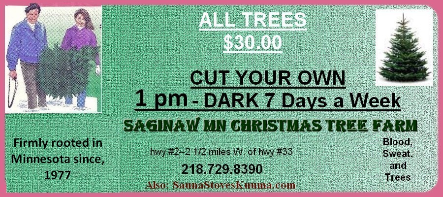 logo of ChristmasTreeDuluth.com showing price and location and contact information