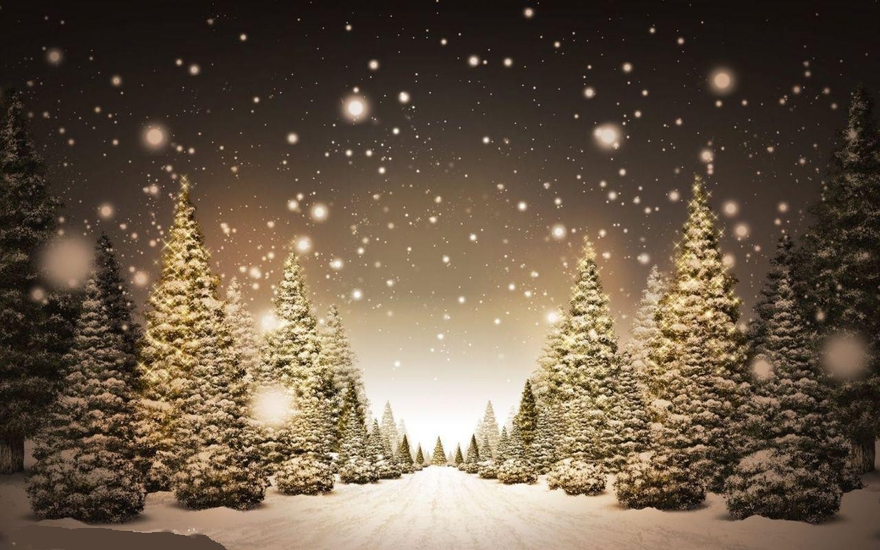 picture of a row of snow covered christmas trees